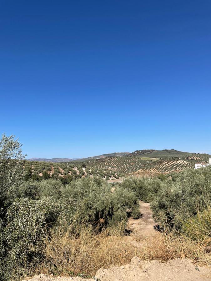 Lafrenchtouch - Relajate Y Desconecta Al Pueblo Villa Villanueva de Tapia Luaran gambar